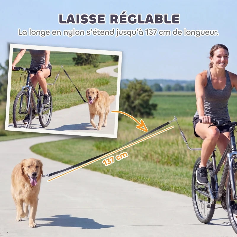 accroche velo pour laisse chien