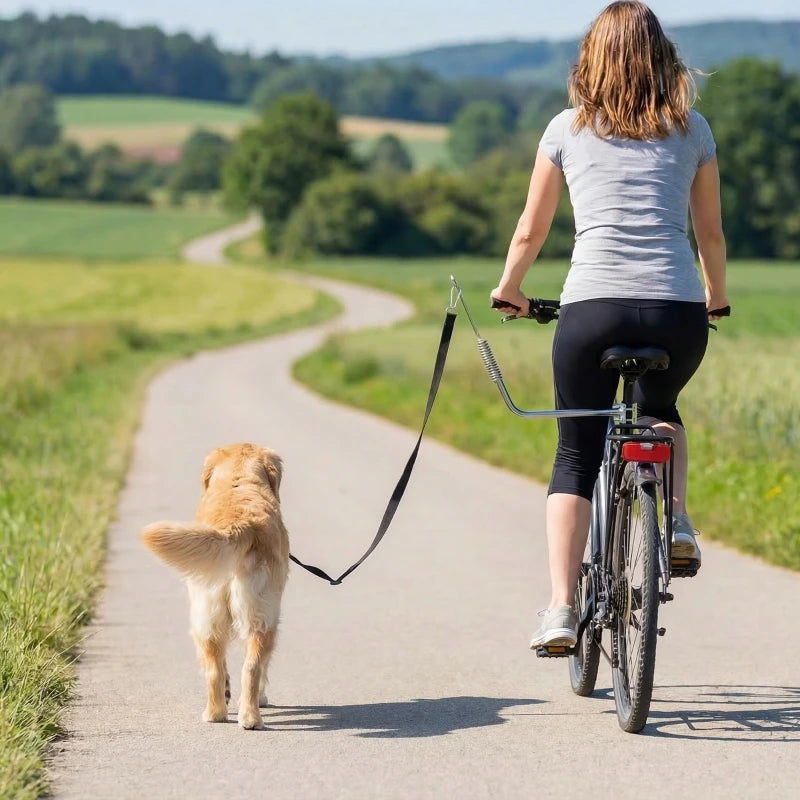 accroche velo pour laisse chien