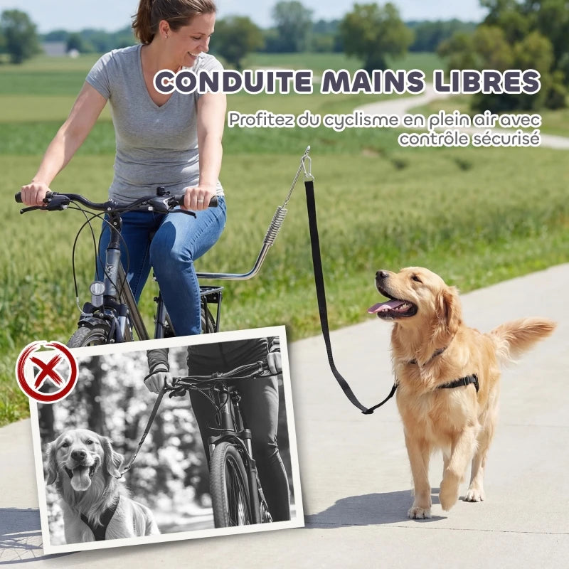 accroche velo pour laisse chien