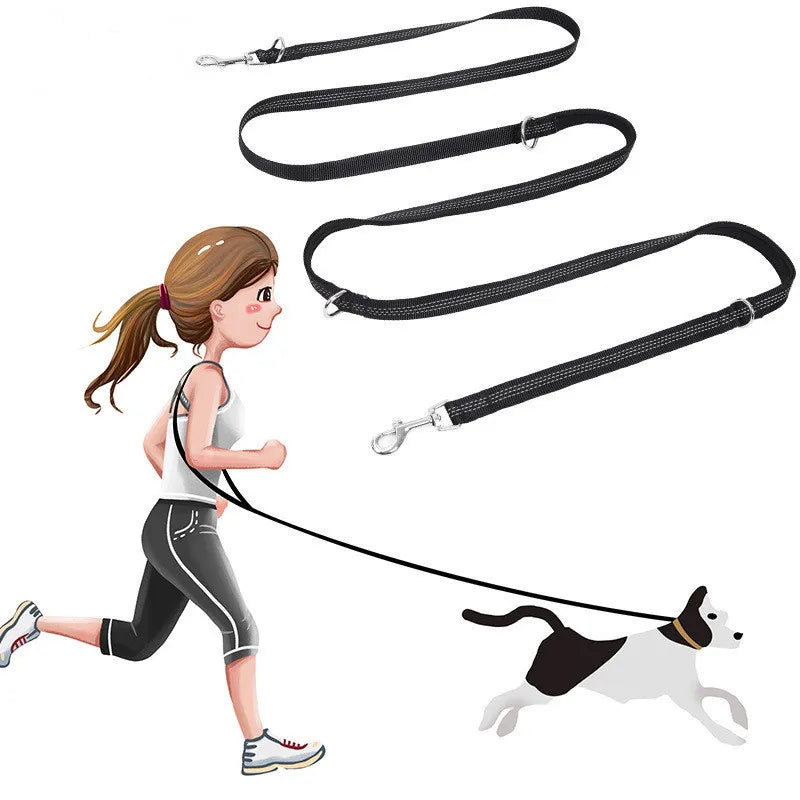 laisse rallonge pour chien