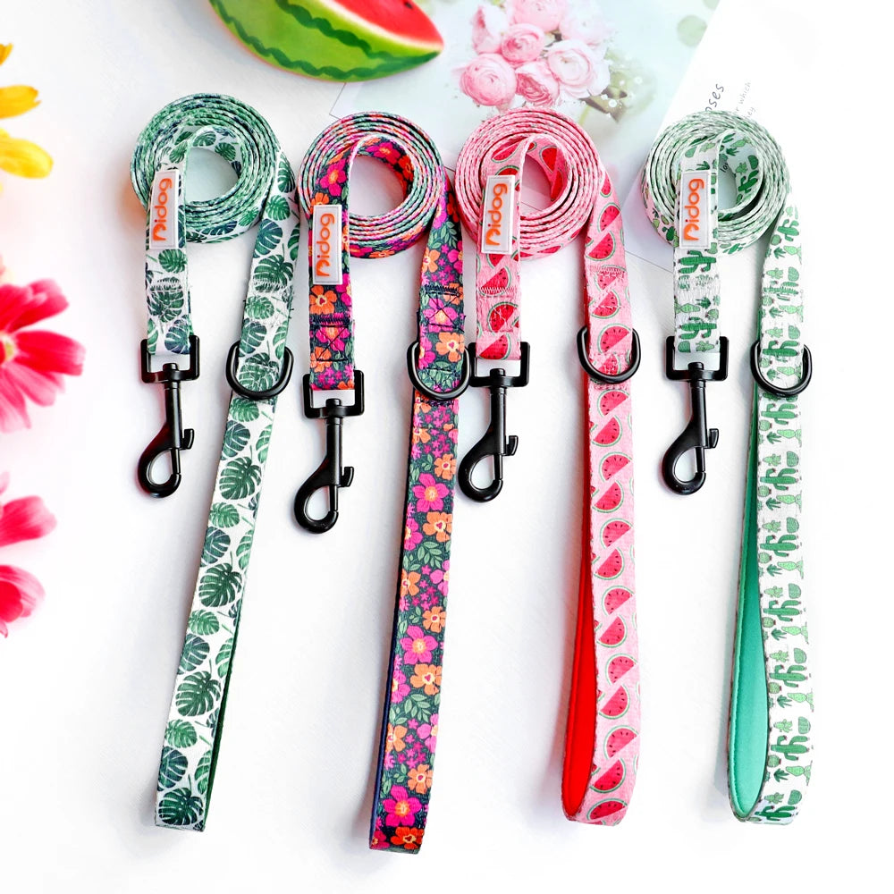 laisse a motif pour chien