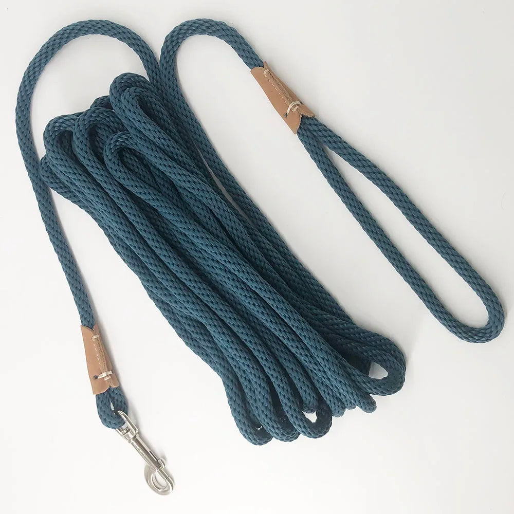 corde laisse pour chien 3 metre