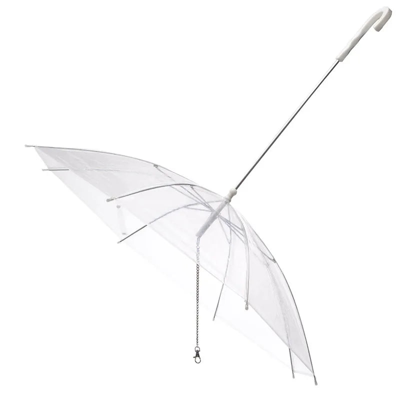 laisse parapluie