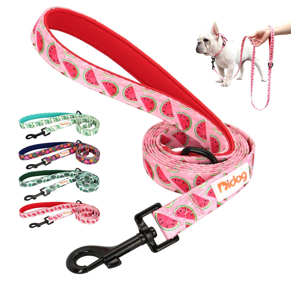laisse a motif pour chien