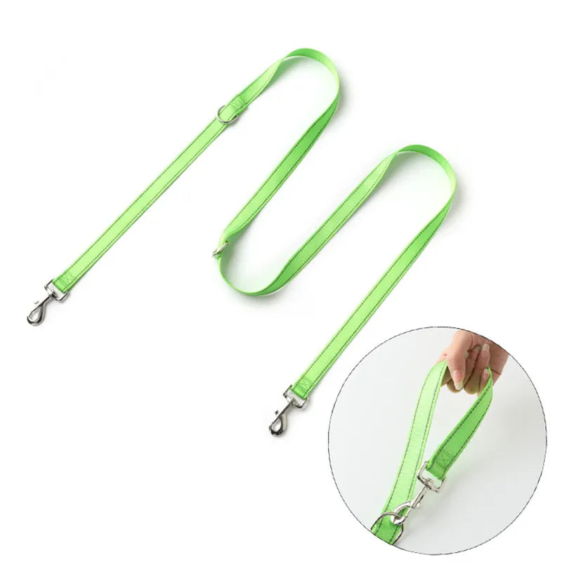 laisse rallonge pour chien