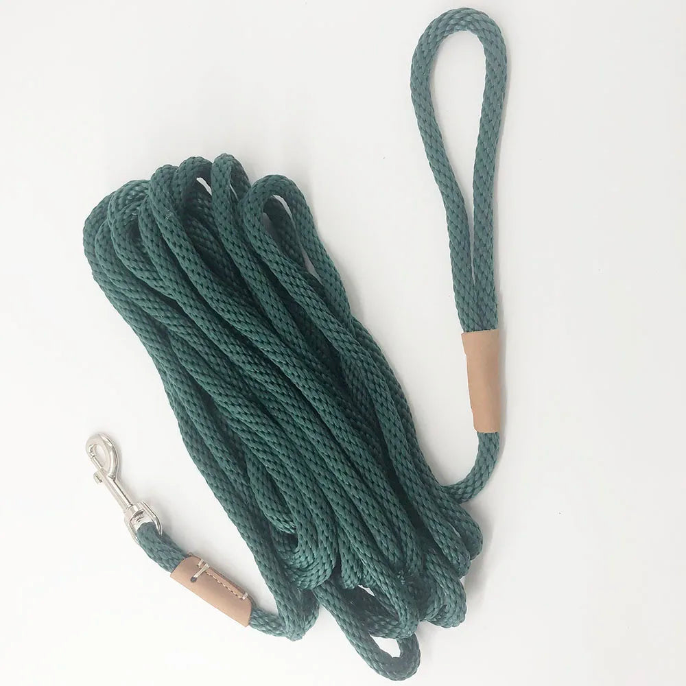 corde laisse pour chien 3 metre