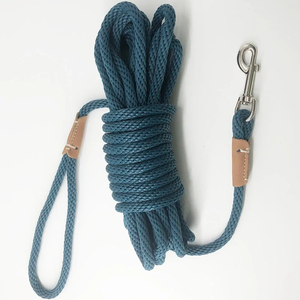 corde laisse pour chien 3 metre