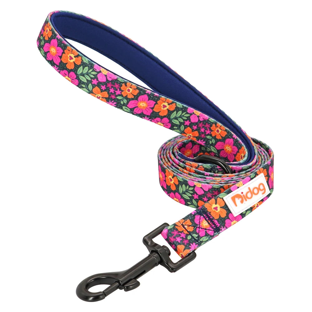 laisse a motif pour chien