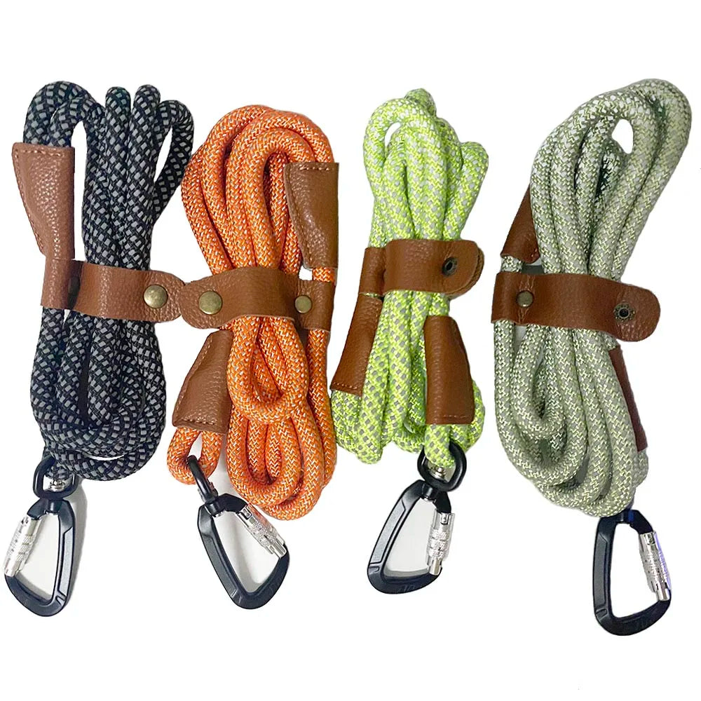 laisse pour chien en corde d'escalade