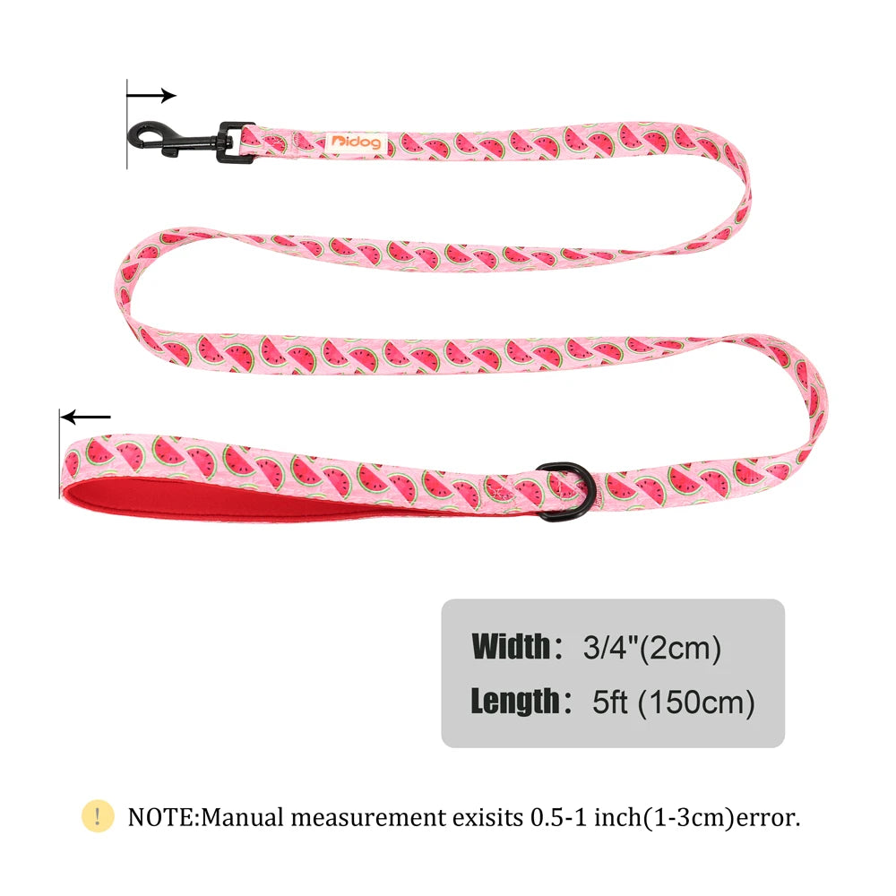 laisse a motif pour chien