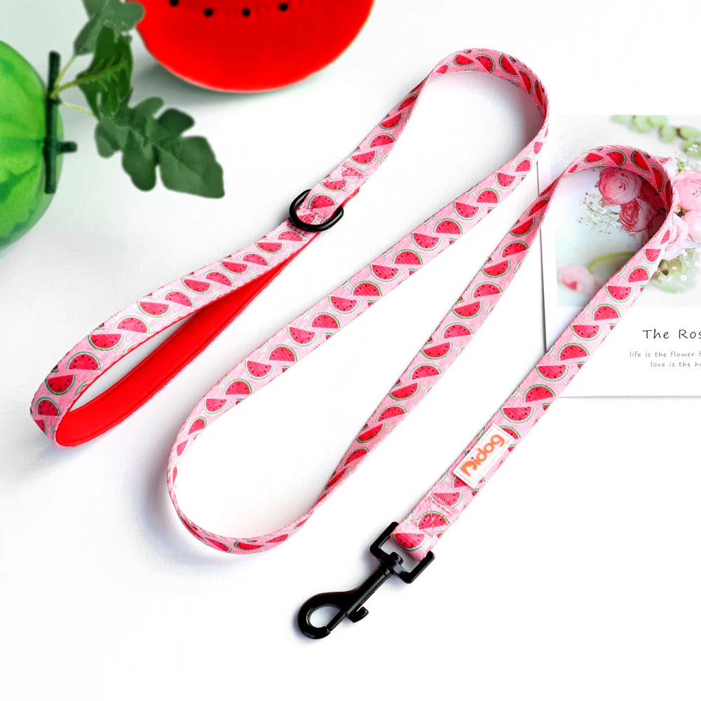 laisse a motif pour chien
