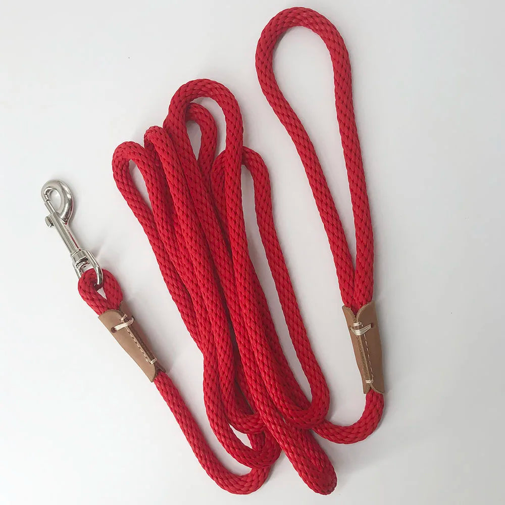 corde laisse pour chien 3 metre