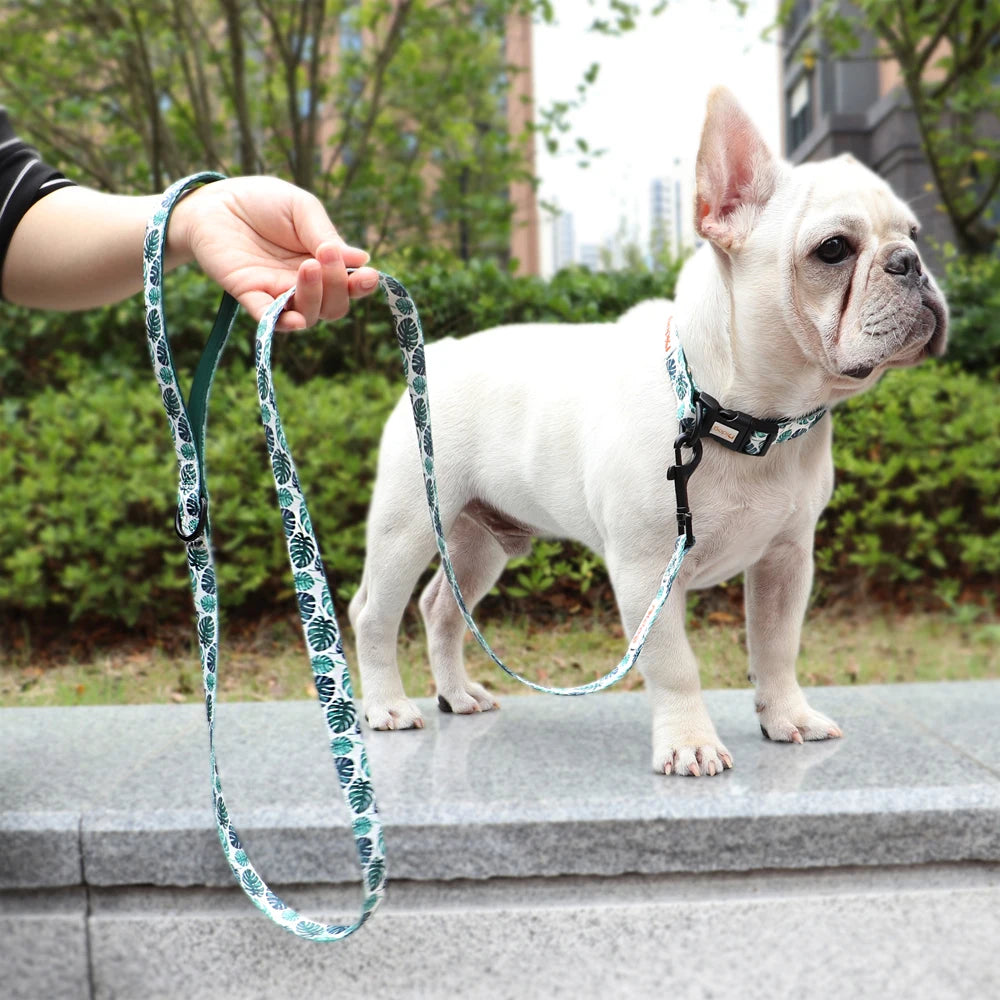 laisse a motif pour chien