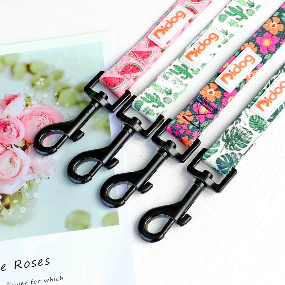 laisse a motif pour chien