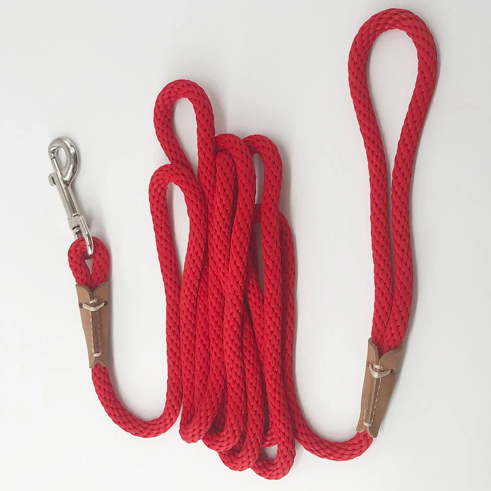 corde laisse pour chien 3 metre