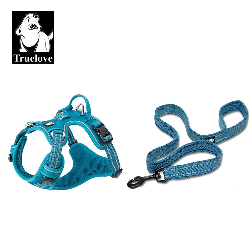 harnais laisse en nylon 2 cm largeur pour chien