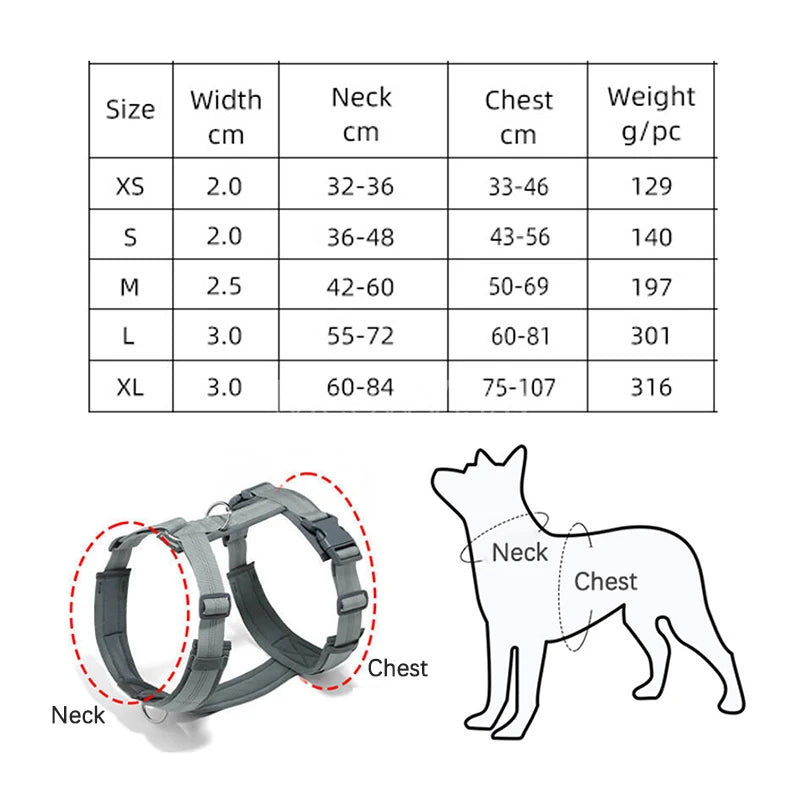 laisse anti fugue pour chien