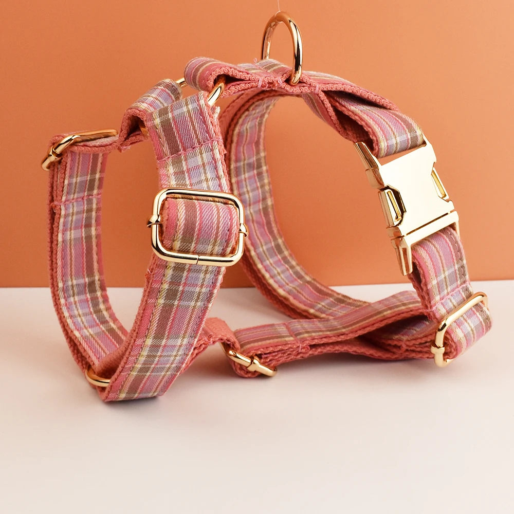 collier et laisse pour chien japonais