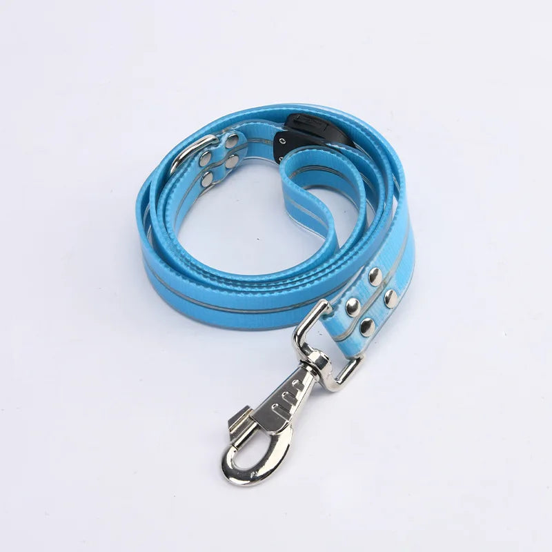 collier et laisse lumineuse pour chien