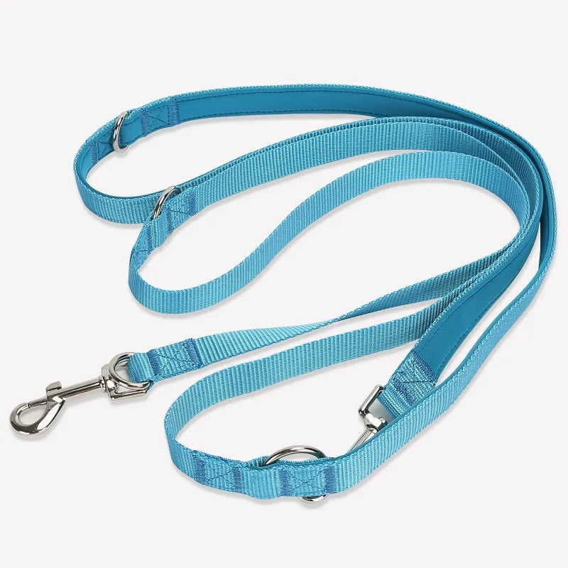 laisse bleu pour chien
