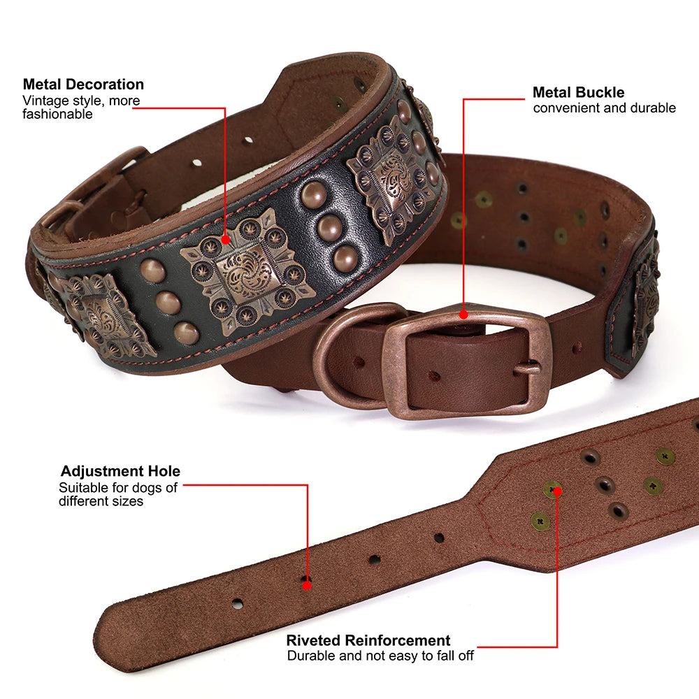 collier et laisse avec bouton pour chien