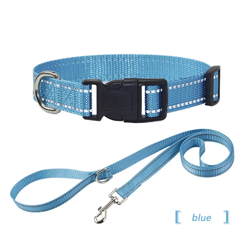 collier et laisse assorti pour chien