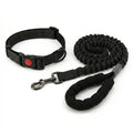 collier et laisse en nylon pour chien
