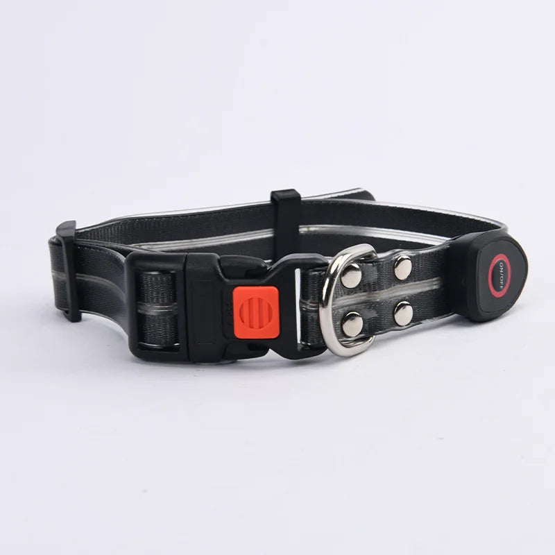 collier et laisse lumineuse pour chien