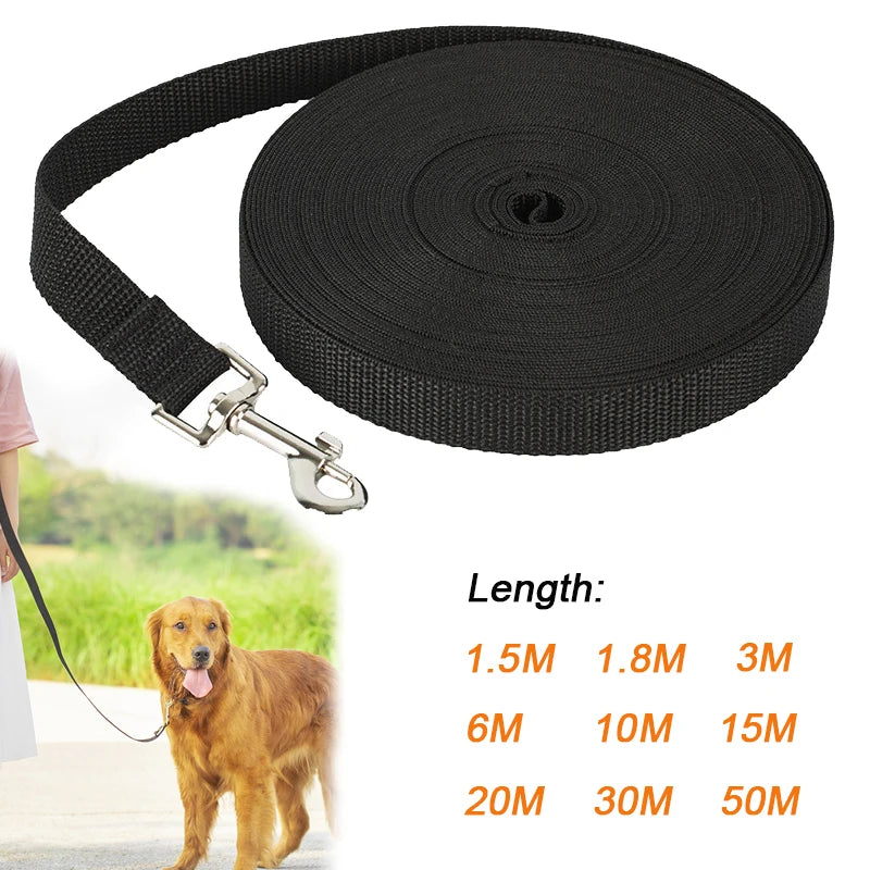 grande laisse pour gros chien