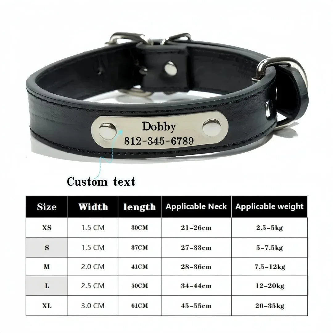 collier et laisse pour chien personaliser