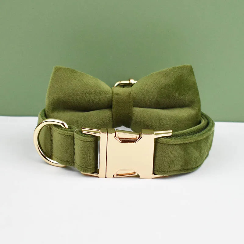 collier et laisse pour chihuahua
