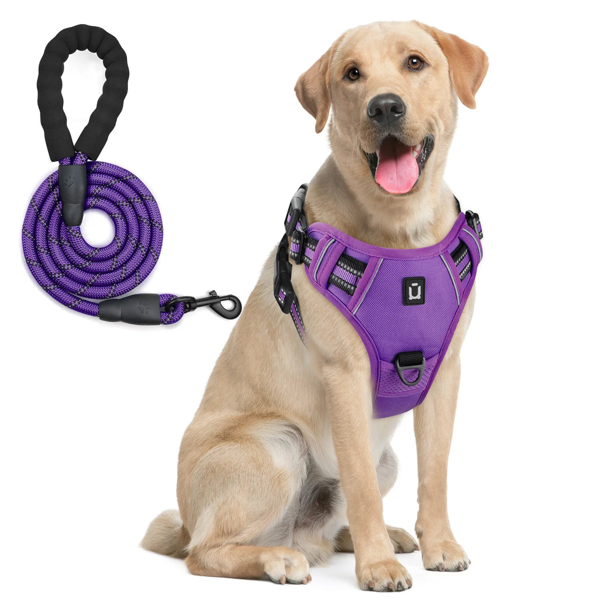 harnais laisse pour chien bleu