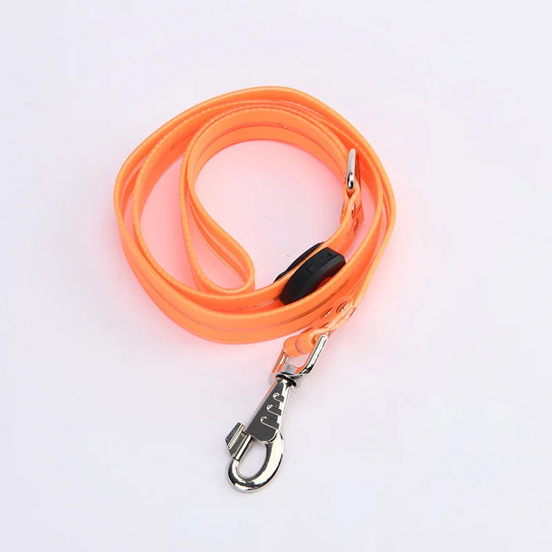 collier et laisse lumineuse pour chien