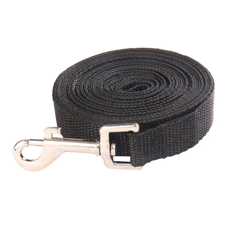 grande laisse pour gros chien