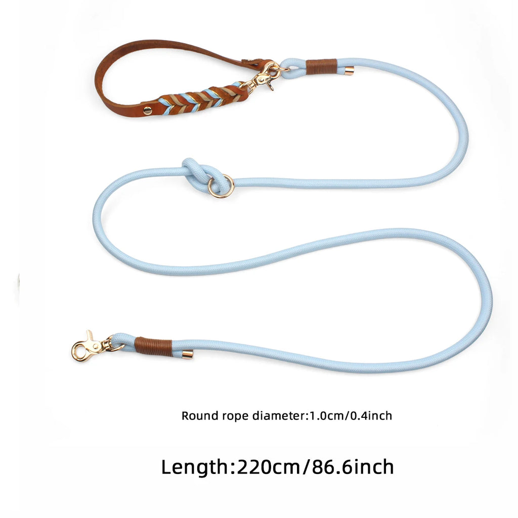 laisse pour chien tresser