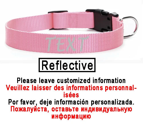 collier pour chien laisser moi tranquille