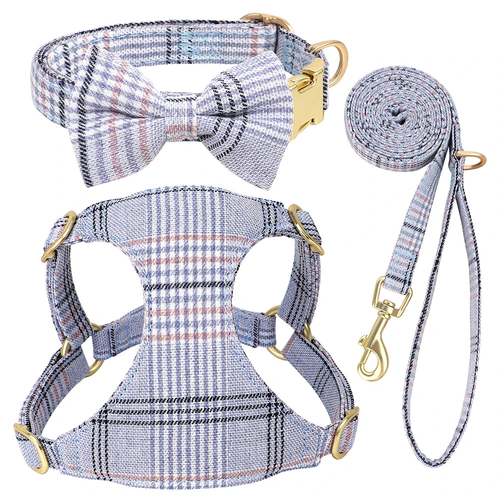 collier et laisse pour chien girly