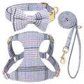 collier et laisse pour chien girly