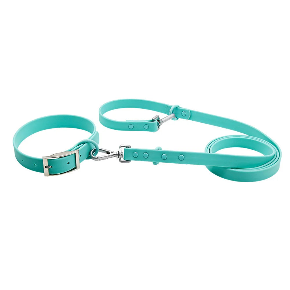 collier et laisse bleu brillante pour chien