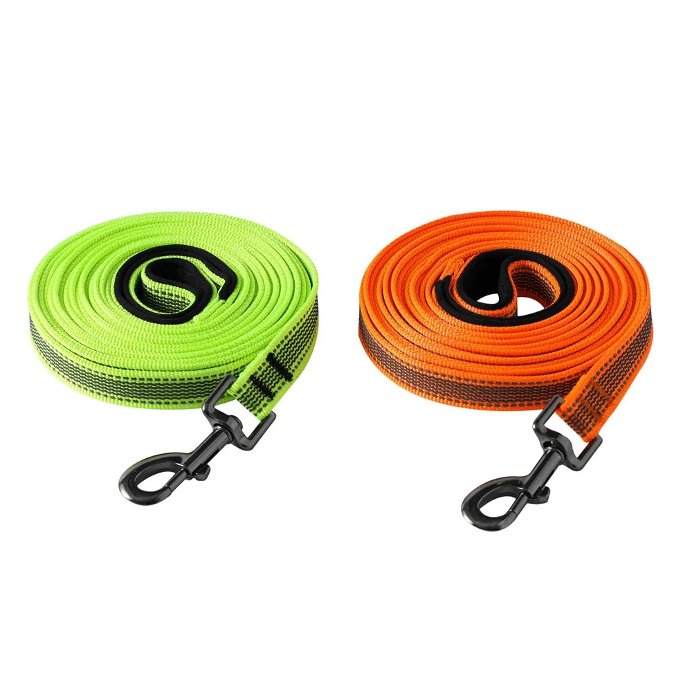 laisse fluo pour chien