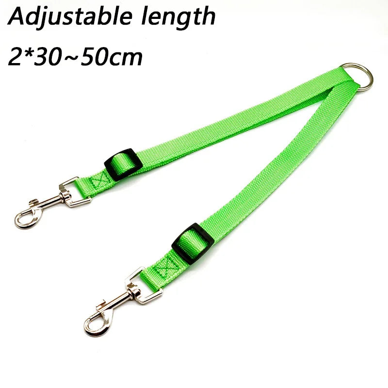 double laisse petit chien