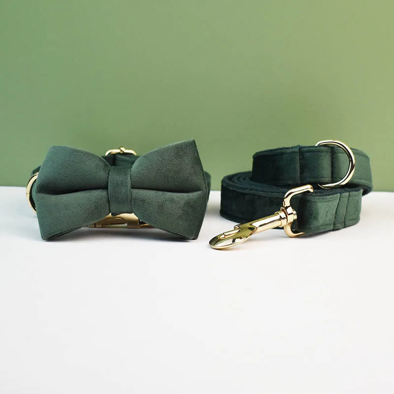 collier et laisse pour chihuahua