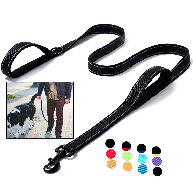 laisse en nylon pour chien