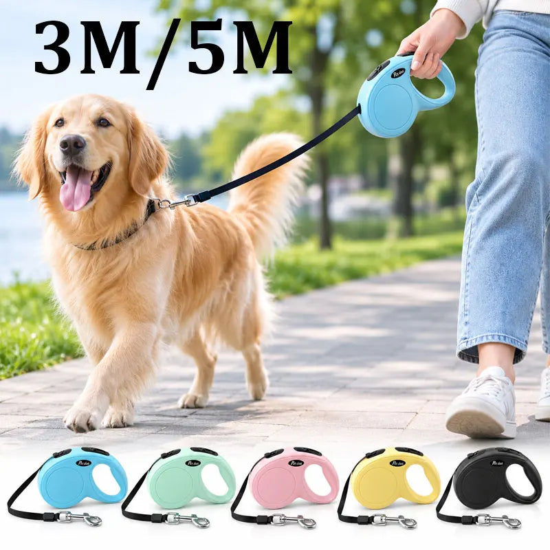 laisse sangle enrouleur pour chien