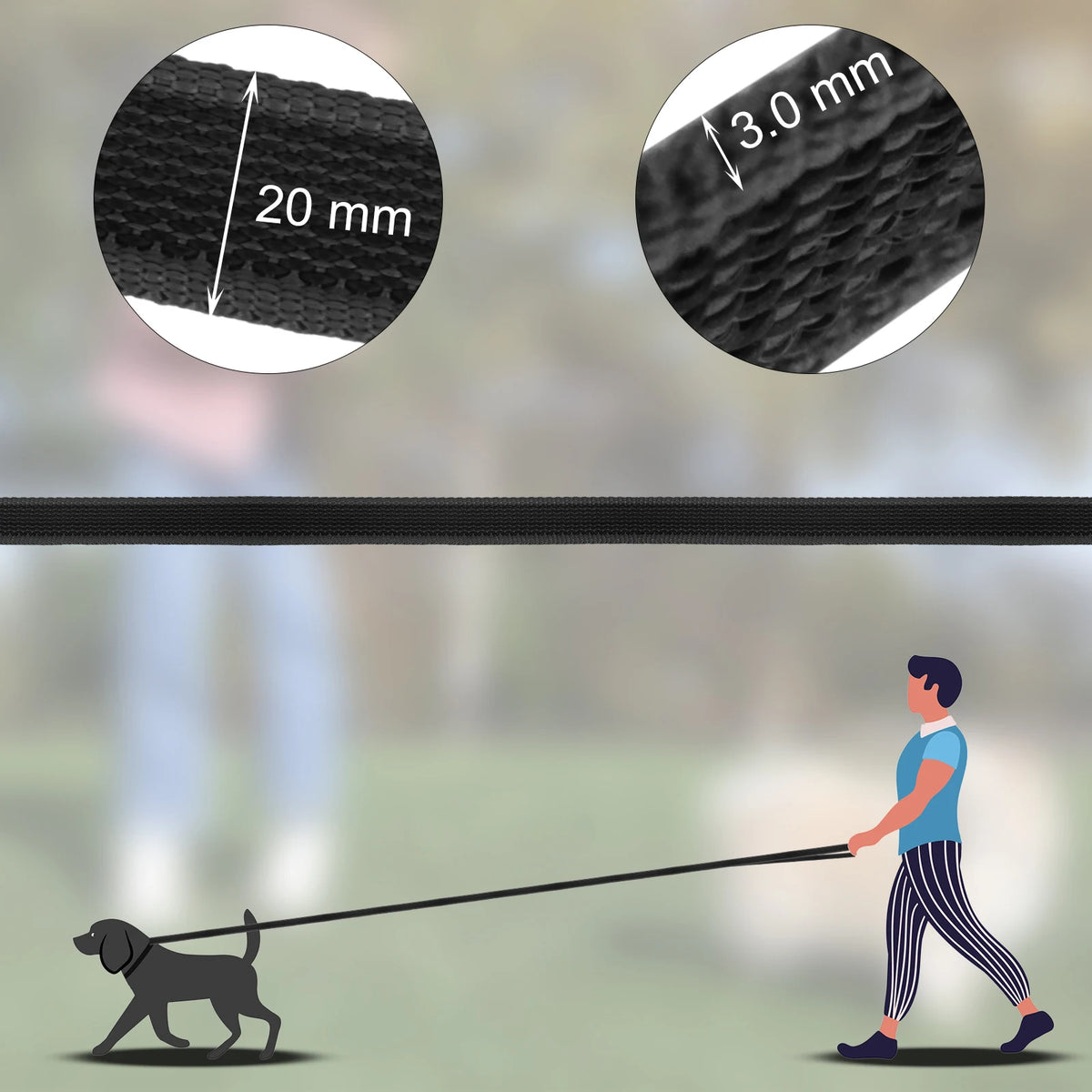 laisse 2 metre pour chien