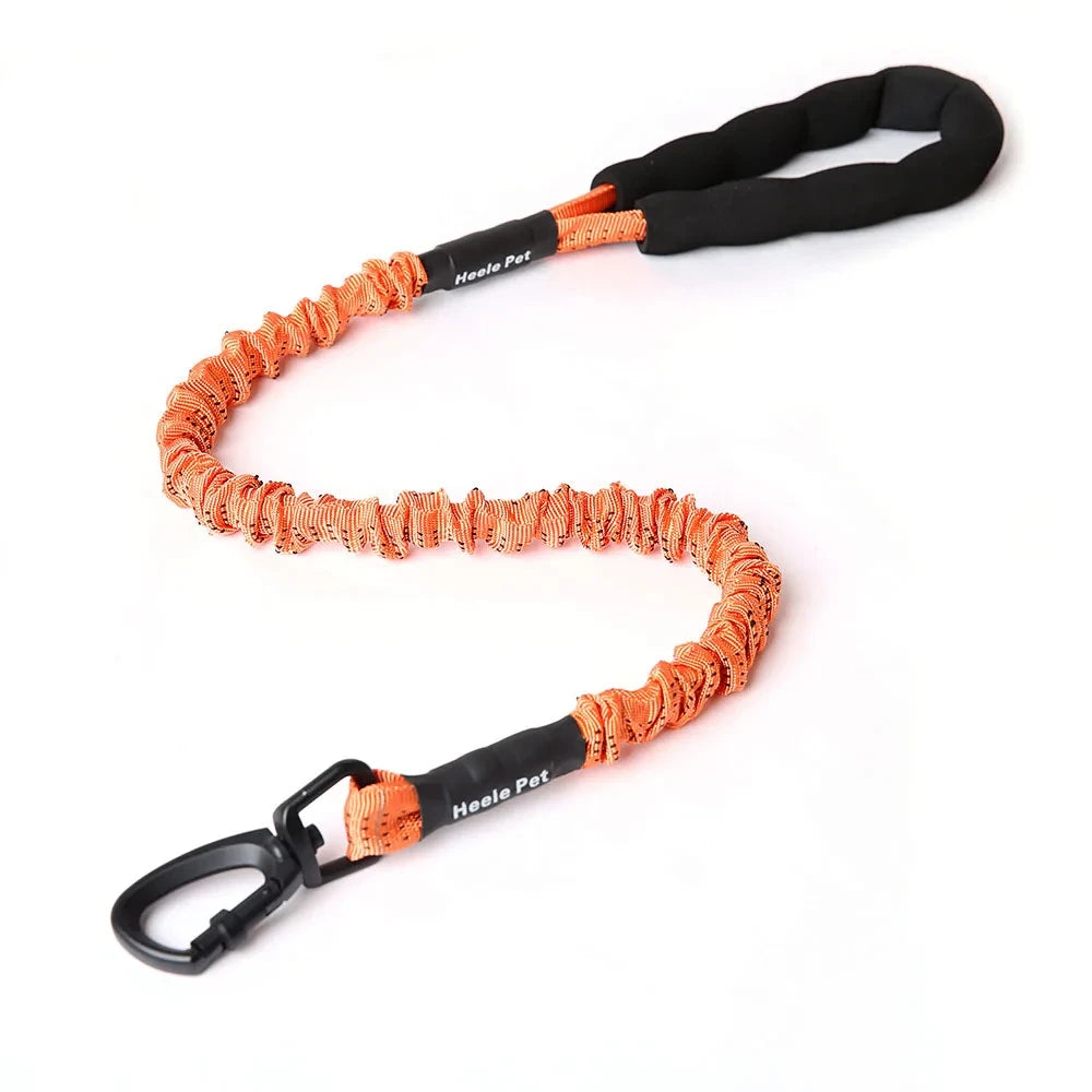 laisse anti traction