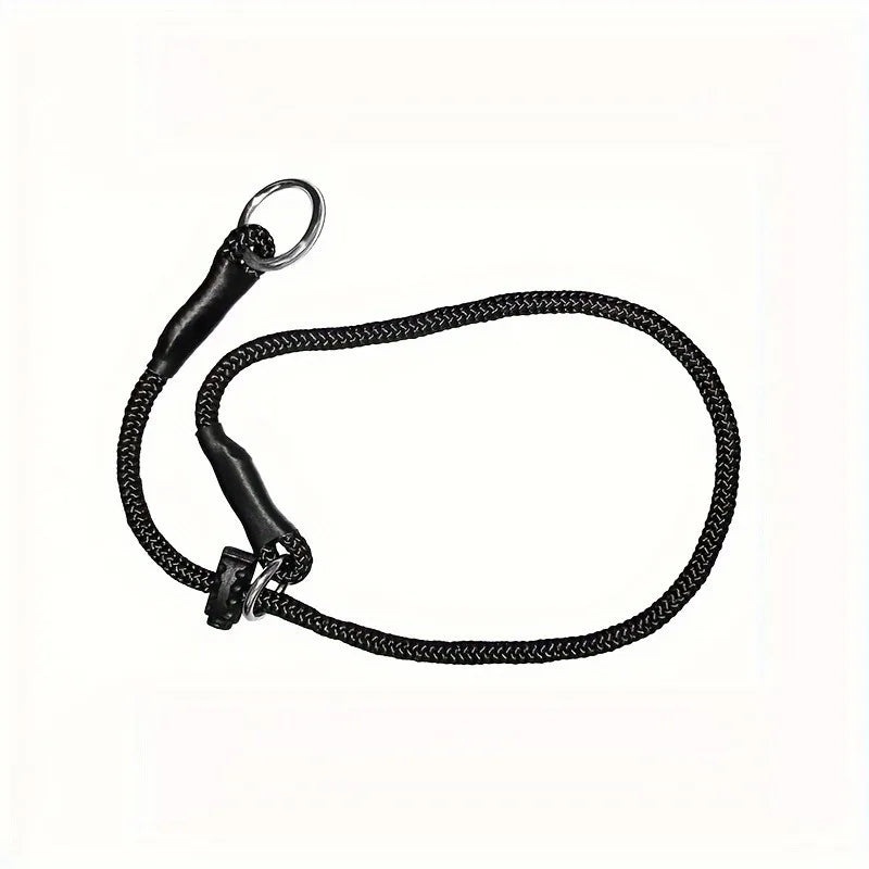 laisse collier étrangleur