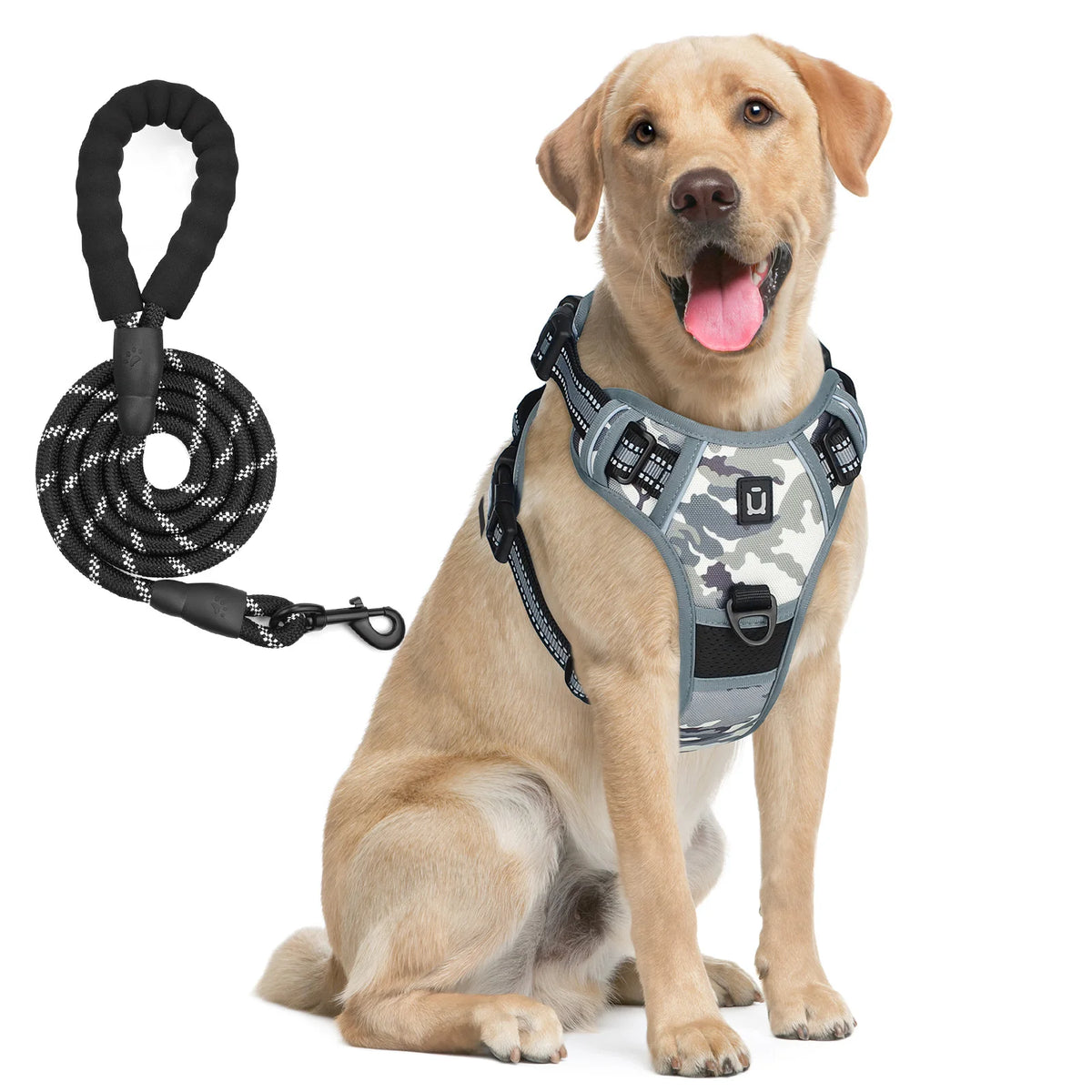 harnais laisse pour chien bleu