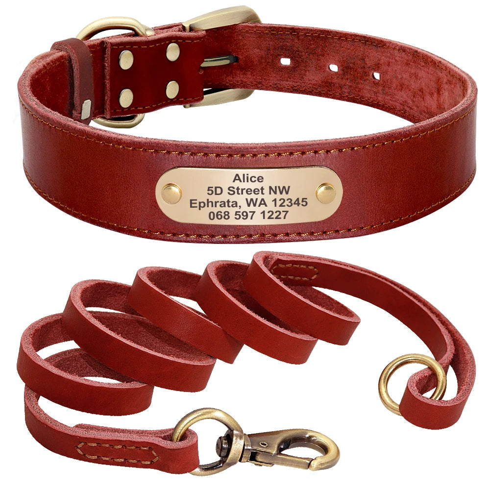 collier epais en cuire avec laisse pour gros chien