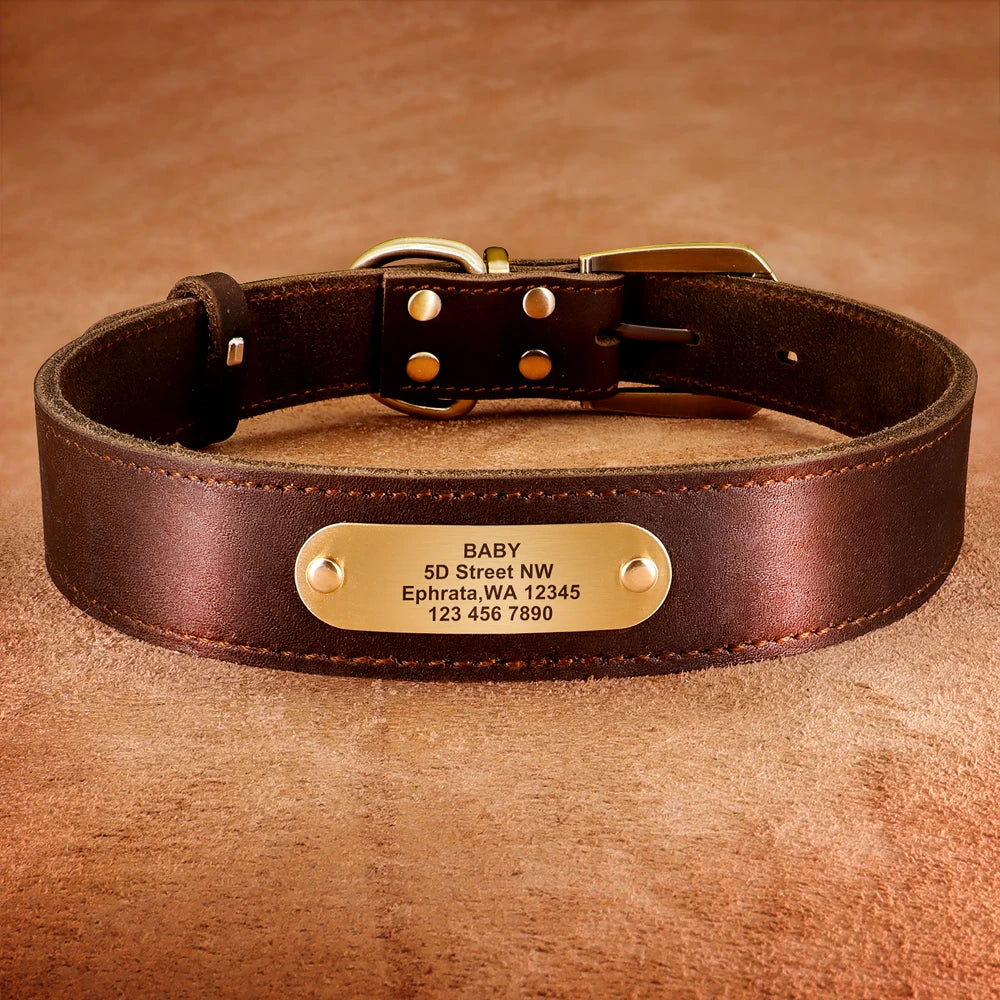 collier epais en cuire avec laisse pour gros chien